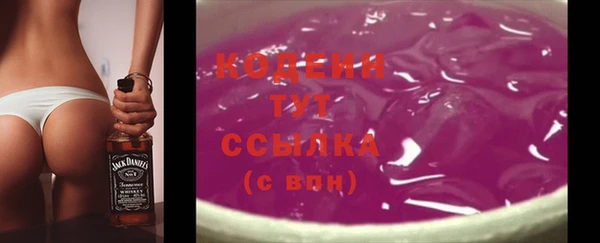 твердый Аркадак