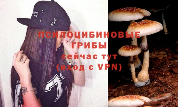 гашиш Арсеньев