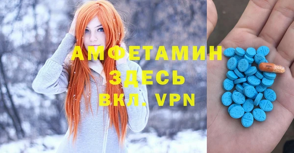 твердый Аркадак