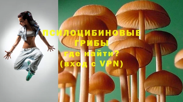 гашиш Арсеньев