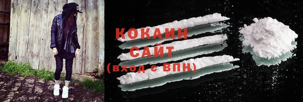 твердый Аркадак